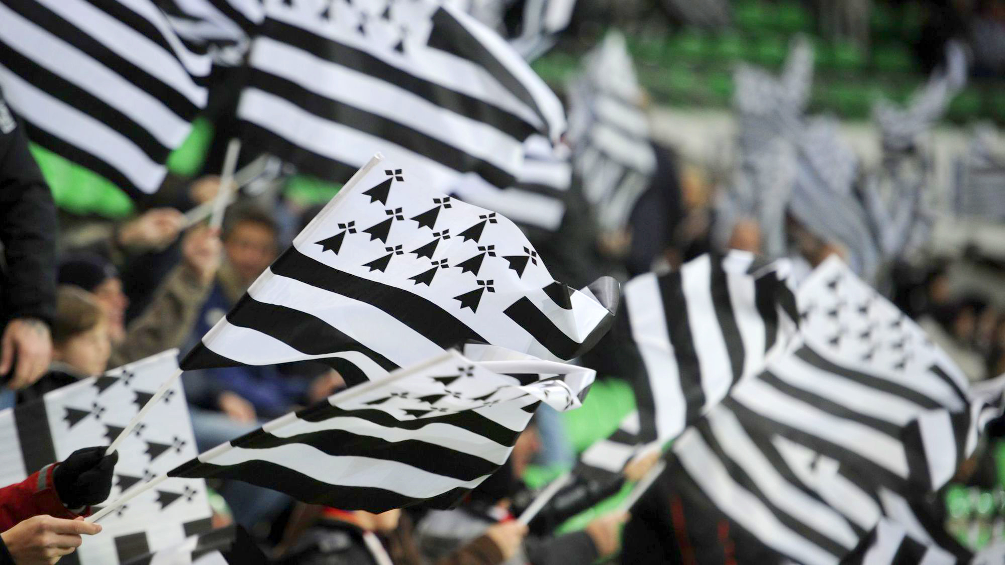Drapeaux bretons © Damien MEYER (AFP)